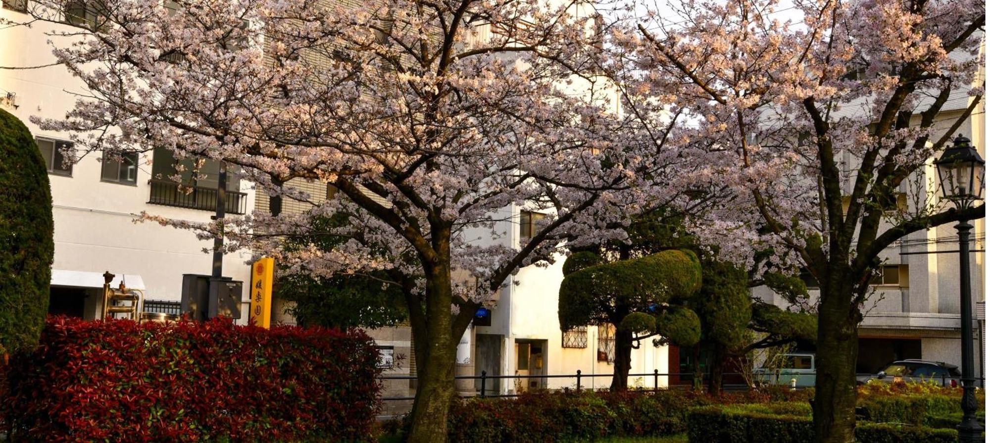 媛楽園 松山中心地及び道後温泉に近い家族やグループ旅行の多人数が泊まれる快適な宿 Exterior photo